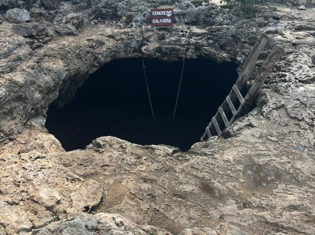 Cenote Calavera景点图片