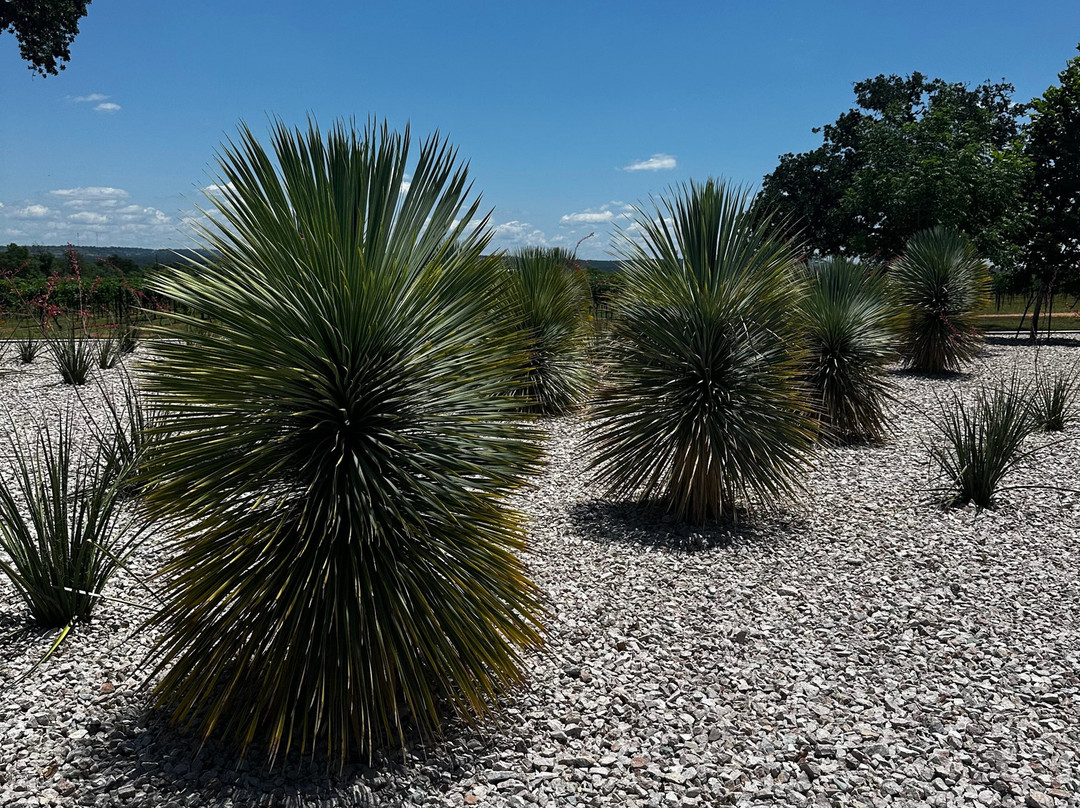 Invention Vineyards-弗雷德里克斯堡必去景点