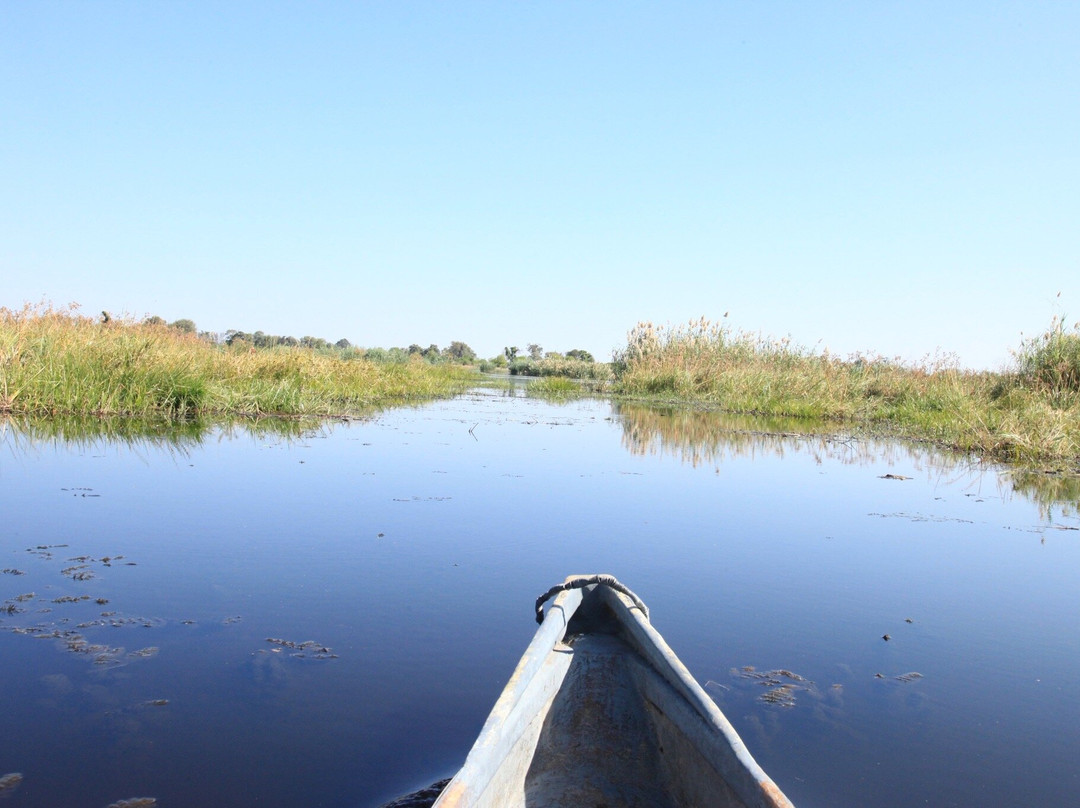 Okavango Delta-马翁必去景点