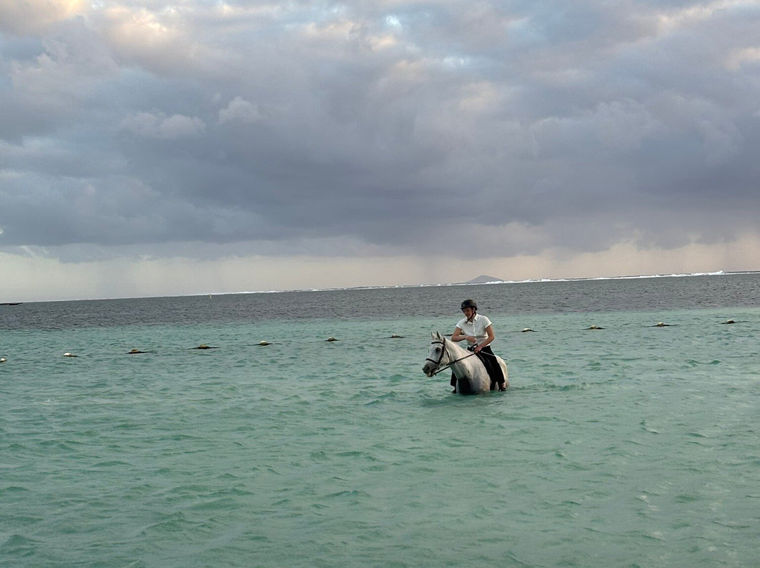 Legasea Stables Mauritius-Quatre Cocos必去景点