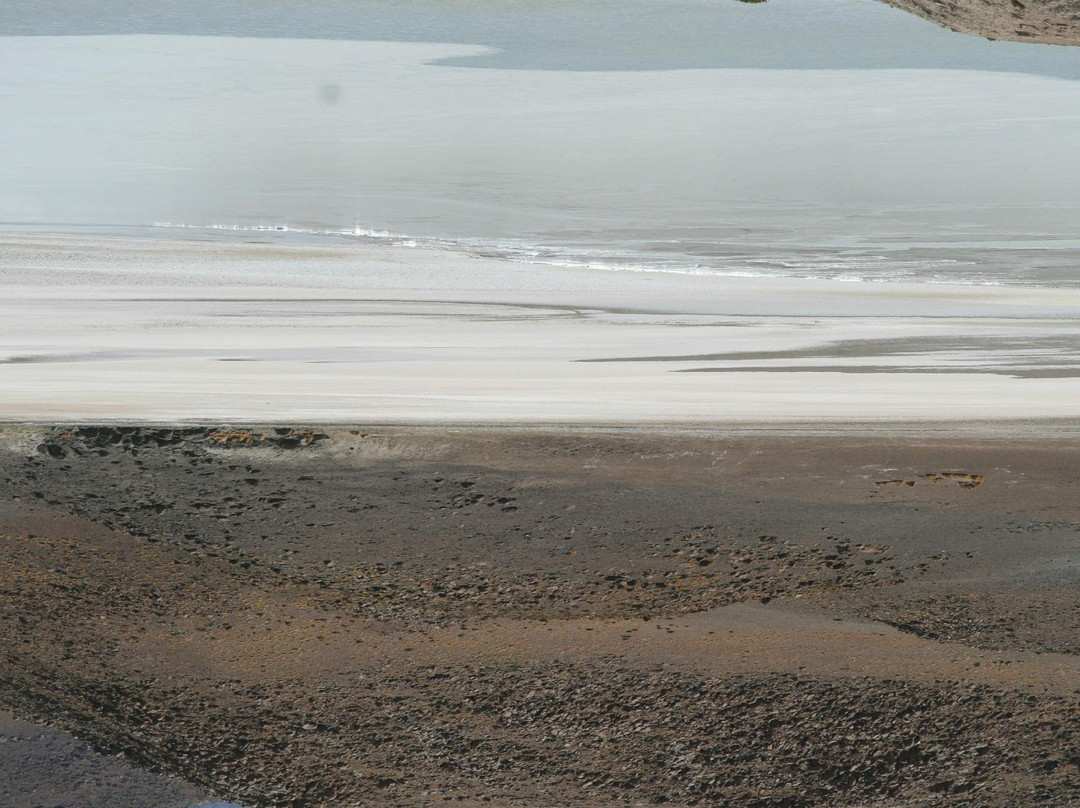 Laguna Hedionda景点图片