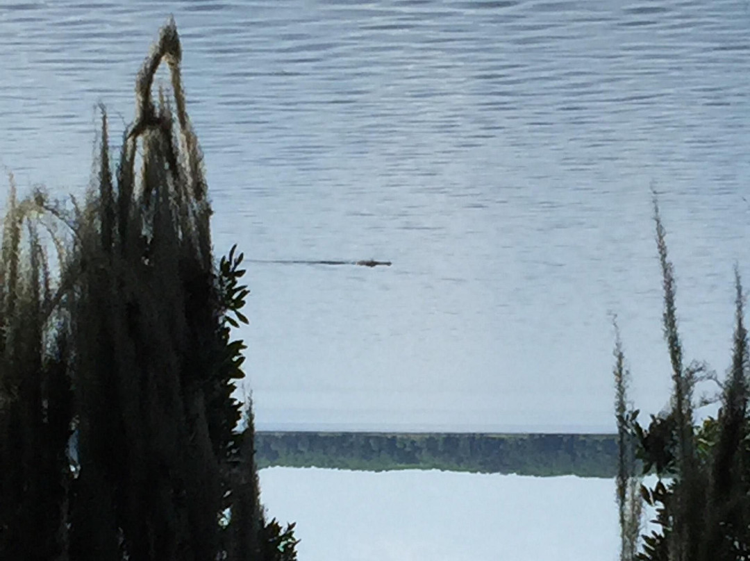 Palm Point Nature Park-盖恩斯维尔必去景点