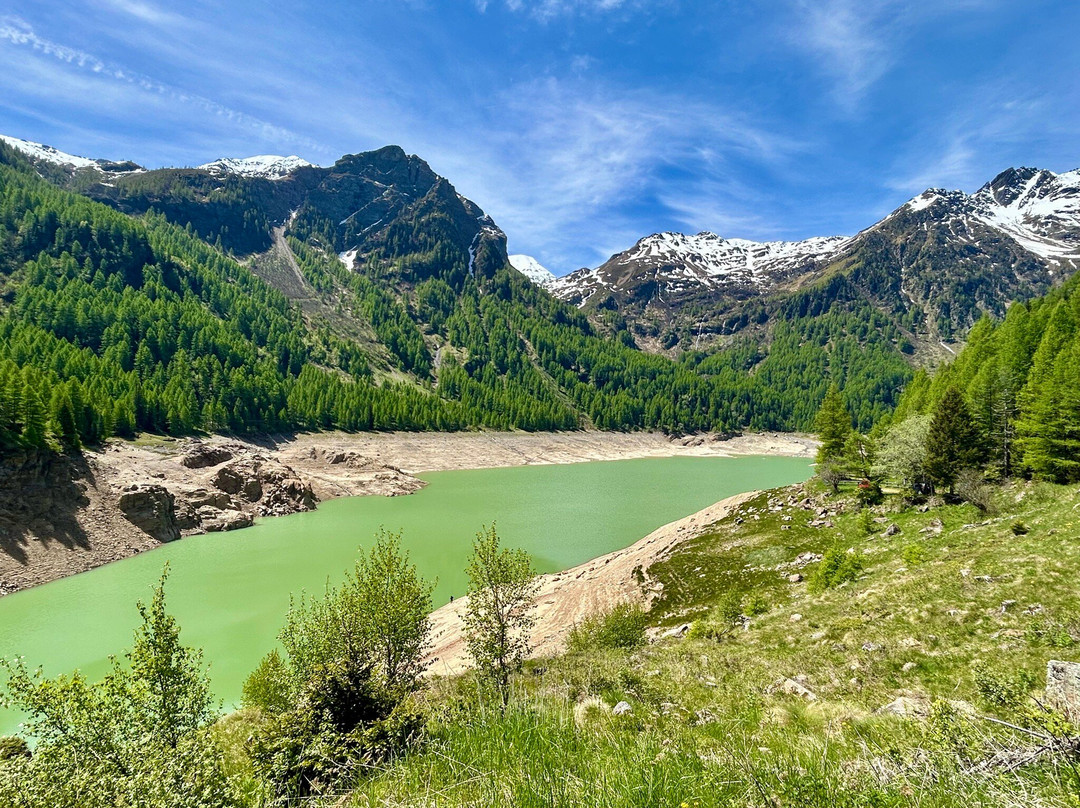 Lago di Pian Palù景点图片