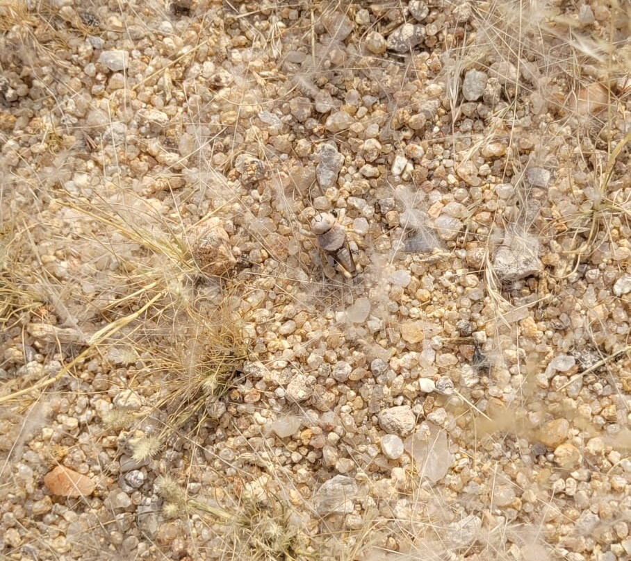 Spitzkoppe-达马拉兰必去景点