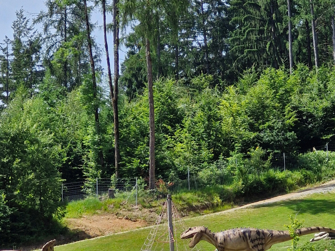 Edelwies Natur- und Freizeitpark-Neukirchen必去景点