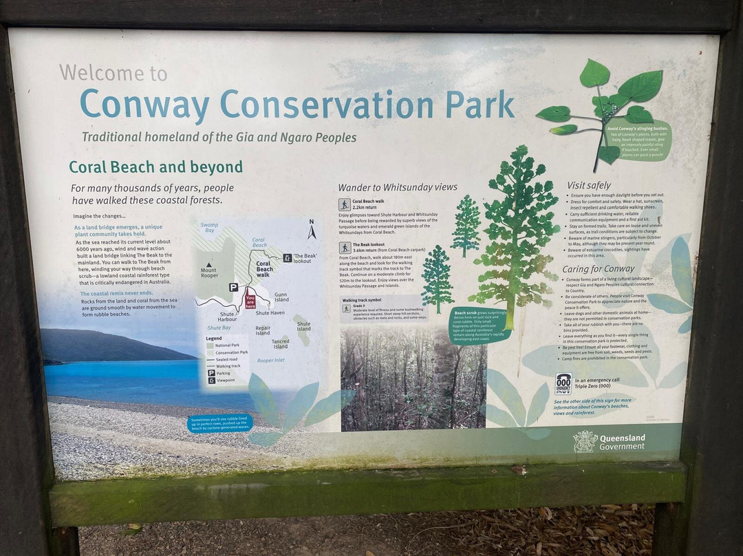 Coral Beach and the Beak, Conway National Park-舒特港必去景点