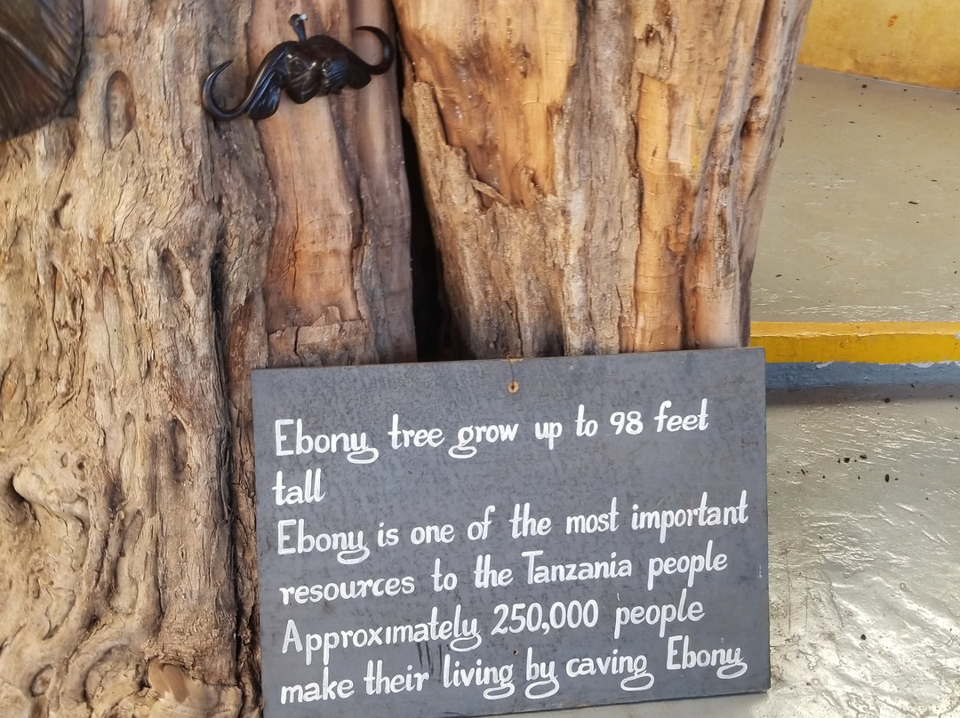 Safariland Tanzania-Mto wa Mbu必去景点