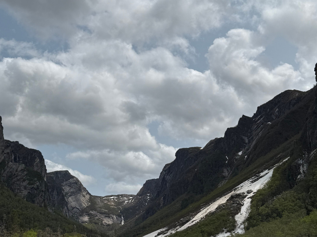 BonTours Boat Tours-Rocky Harbour必去景点