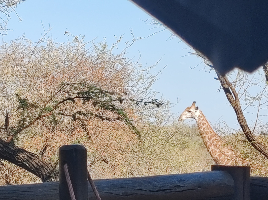 Khumbula Iafrica主图