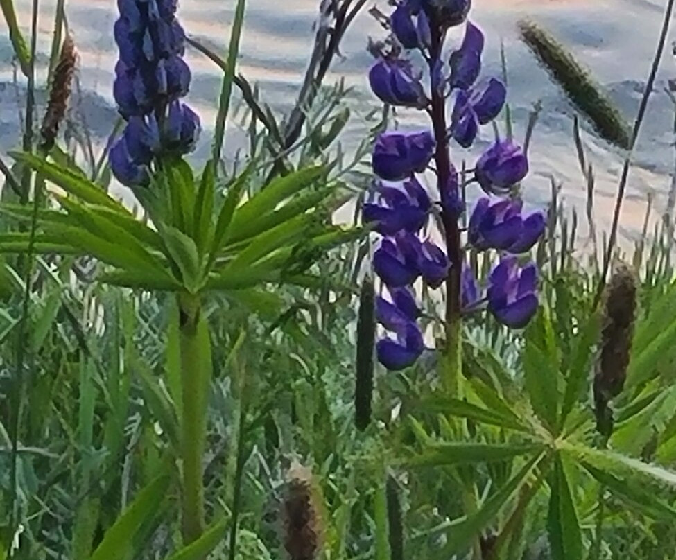 Clifty Cove Motel主图