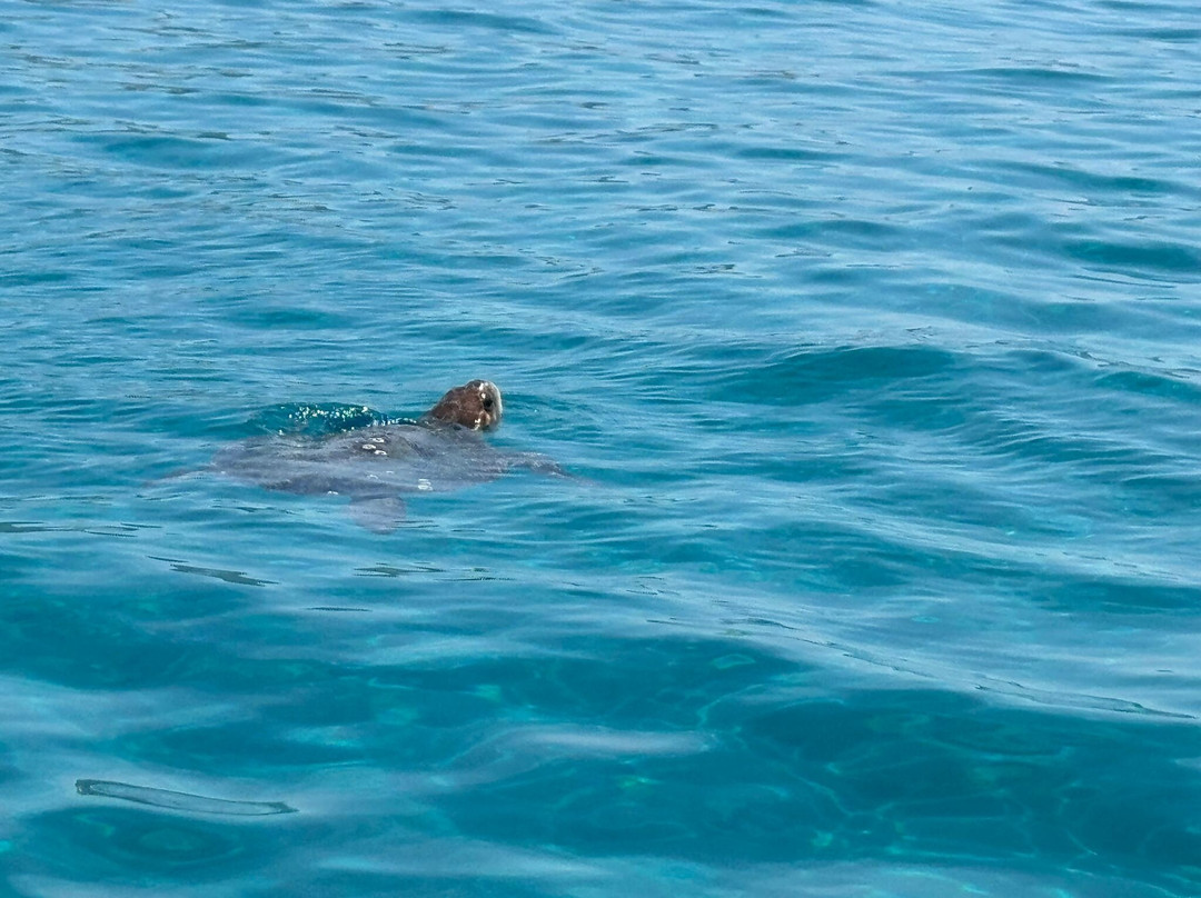 AFROS RENTAL BOATS-利姆尼科利必去景点