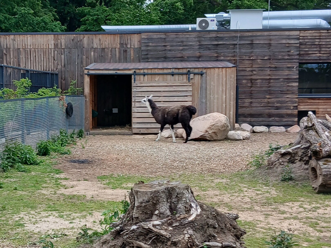 Zoopark Kaunas-考那斯必去景点