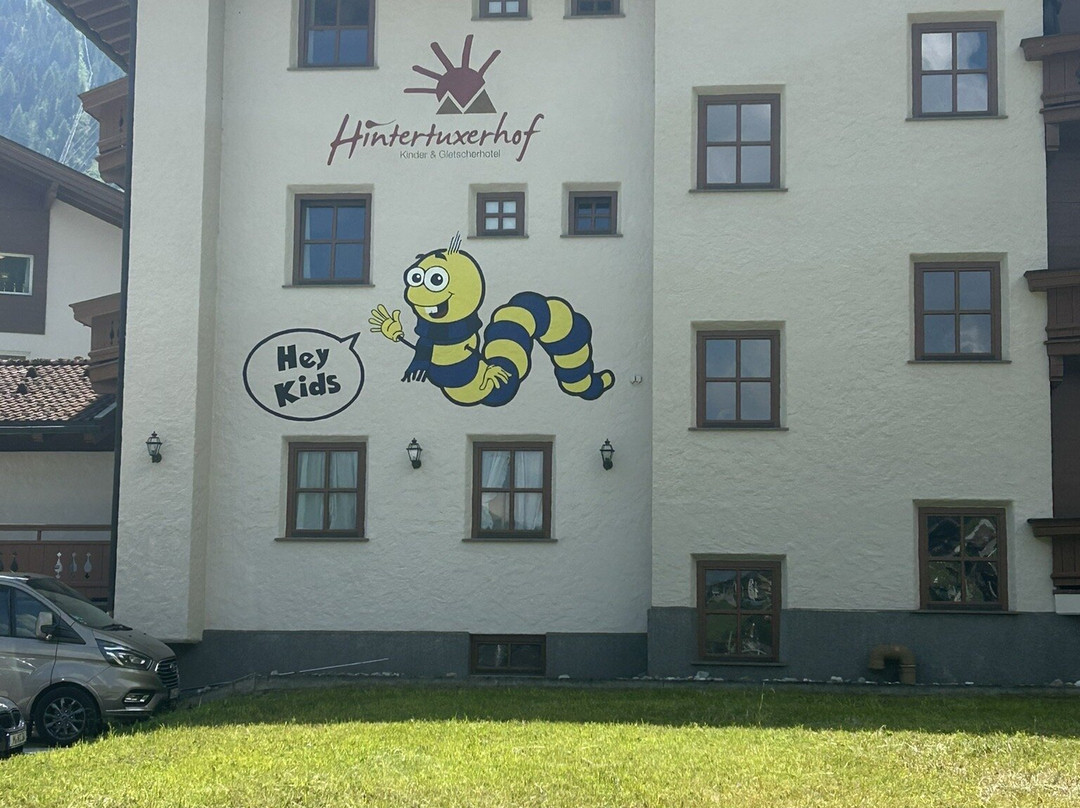 Kinder- & Gletscherhotel Hintertuxerhof主图