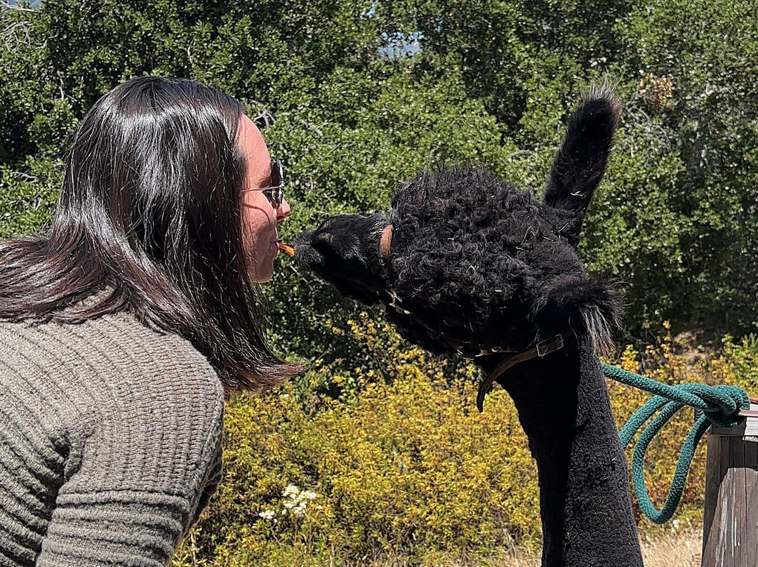 D'jango Hill Farm-卡梅尔必去景点