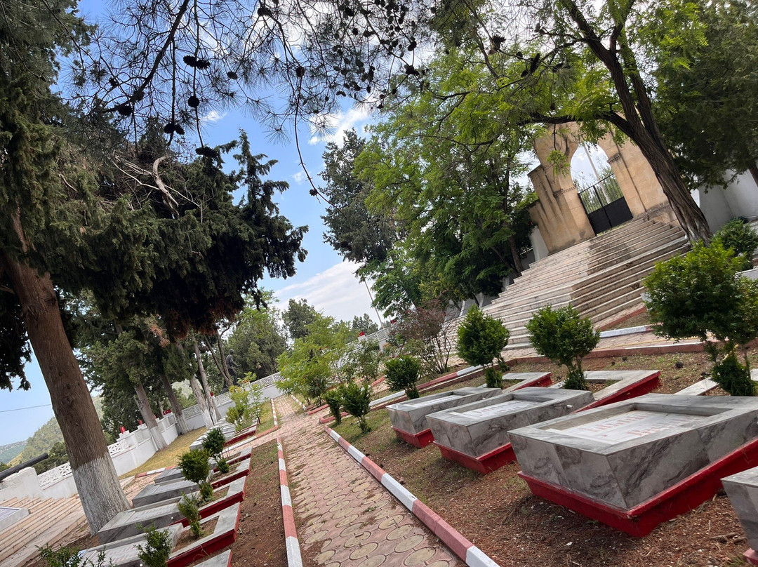 Türk Şehitliği-梅尔辛必去景点