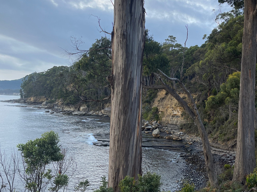 Coal Point-Adventure Bay必去景点
