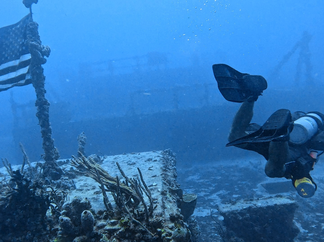 Conch Republic Divers-Tavernier必去景点