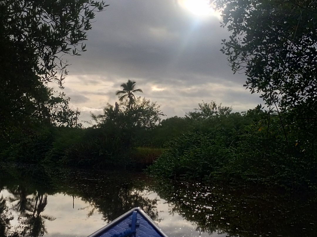 Hidrovia Canavieiras-Belmonte-Canavieiras必去景点