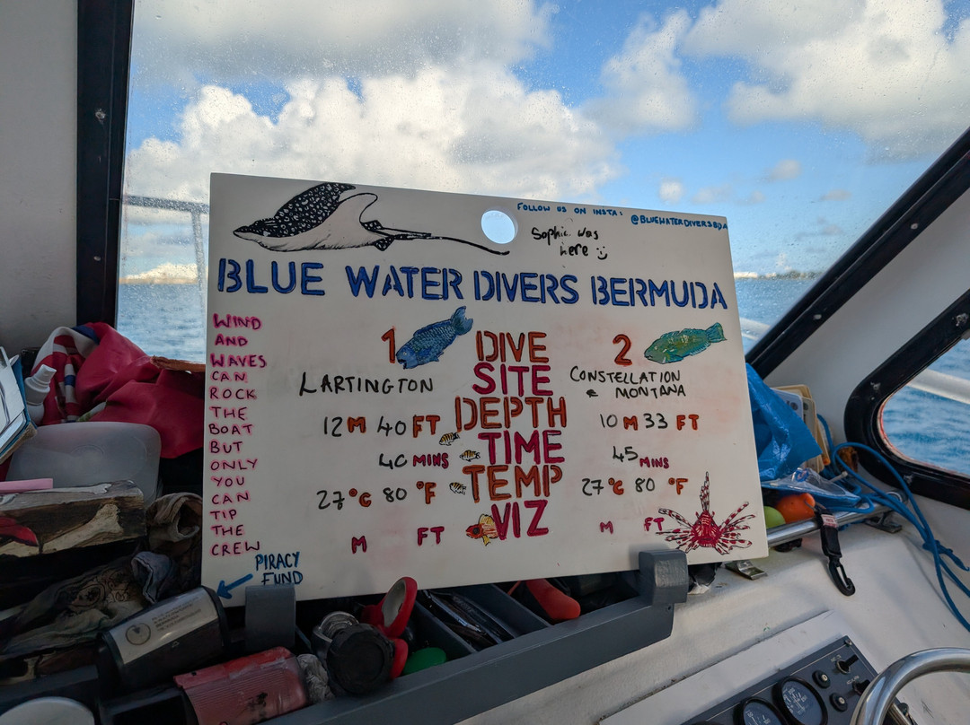 Blue Water Divers & Watersports-Sandys Parish必去景点