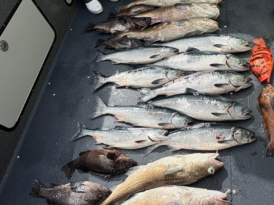 Salt water excursions tci-普罗维登西亚莱斯必去景点