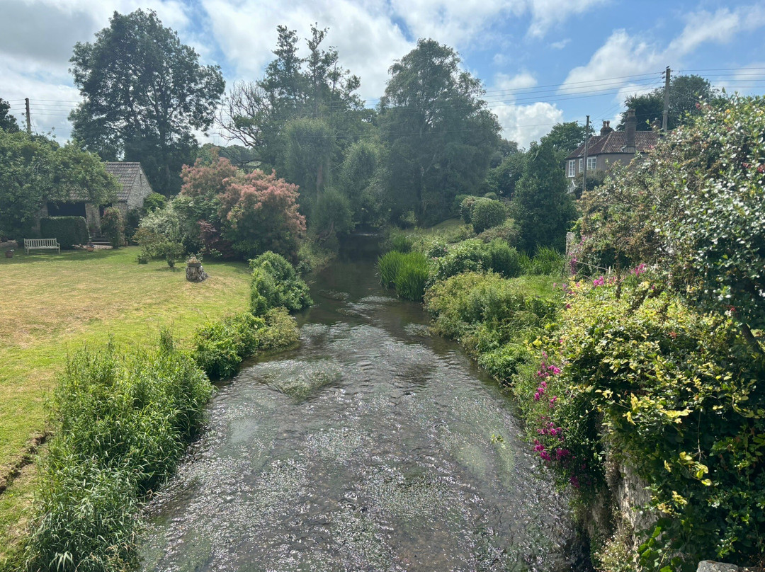 Bell Farm Alpacas-Pensford必去景点