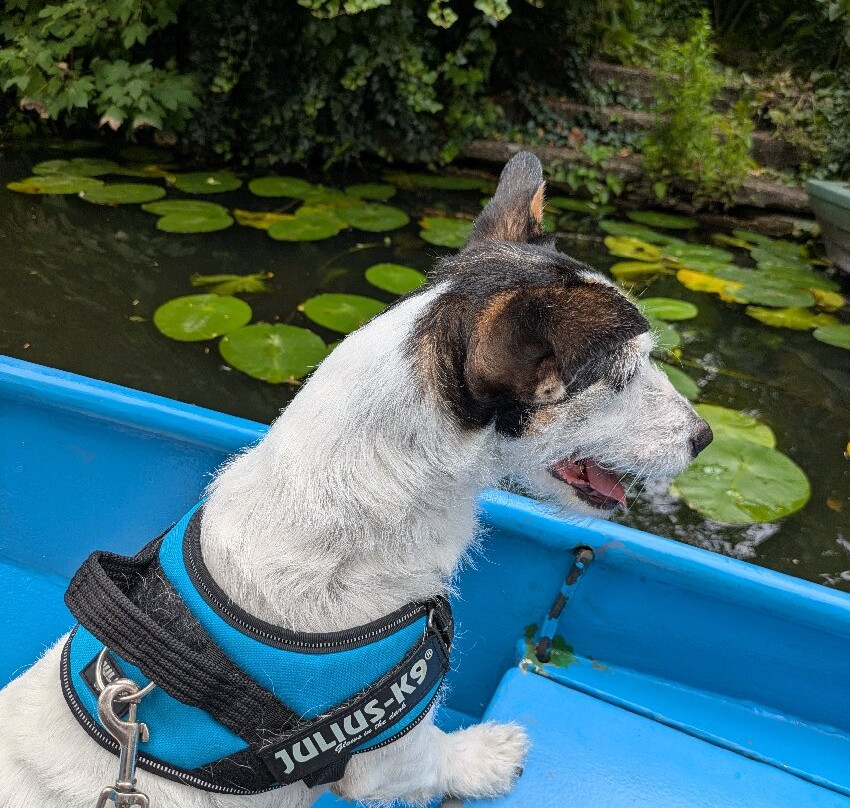 Fluisterbootverhuur Edam-Edam必去景点