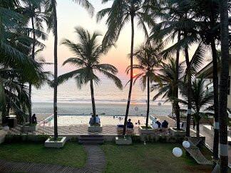 The Windmill Resorts主图