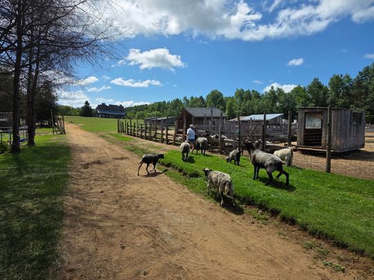 La Mini Ferme Du Boisé-Saint-Tite必去景点