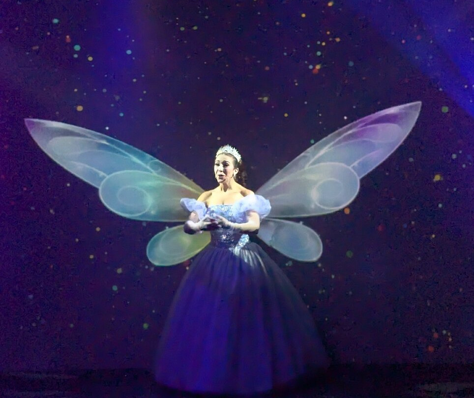 Once Upon a Fairytale-布兰森必去景点