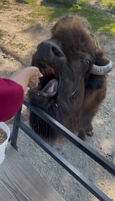 The Farm at Walnut Creek-Sugarcreek必去景点