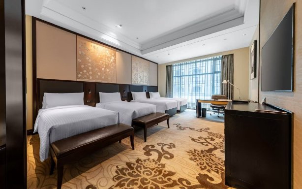 西安豪享来温德姆至尊酒店（大唐不夜城大雁塔店）-客卧