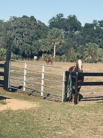 Rock Springs Guest Ranch-Sorrento必去景点