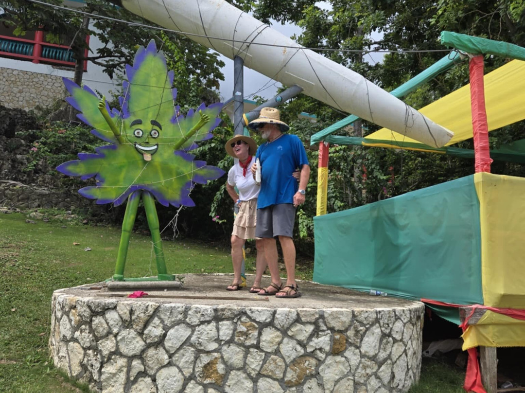 Wabba's Weed Adventure-Brighton District必去景点