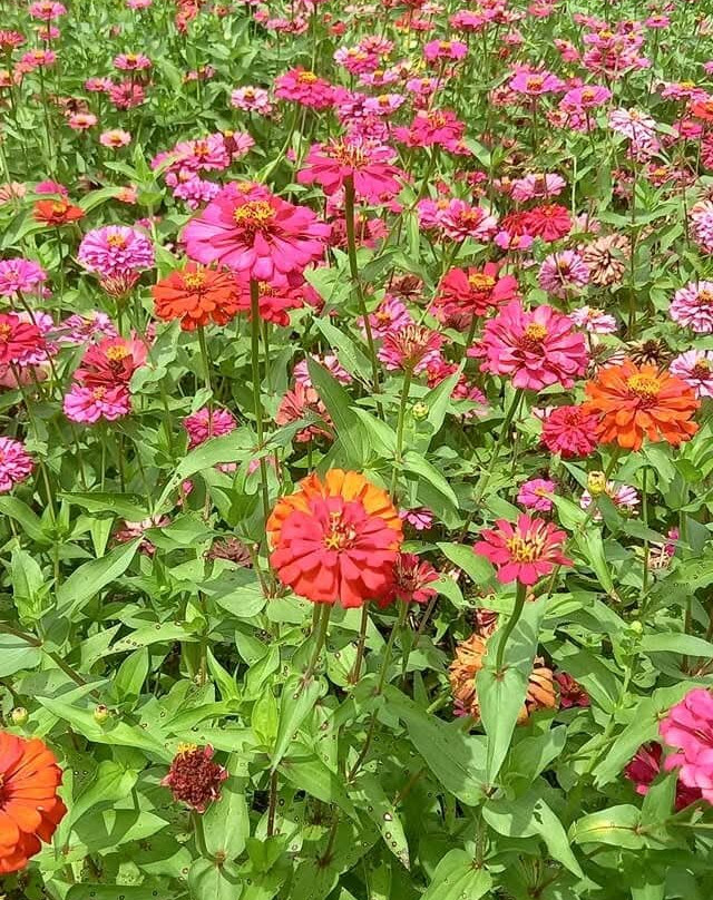 Gallo Agri-Tourism Park-San Miguel必去景点