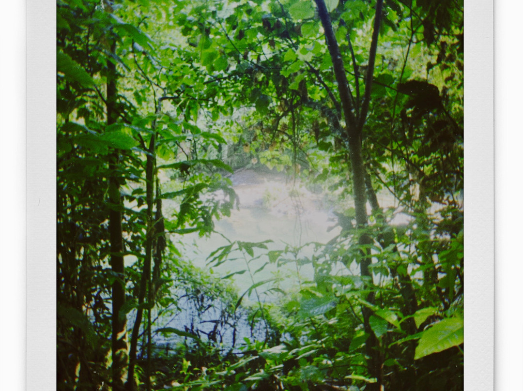 Eden on the River-维拉港必去景点
