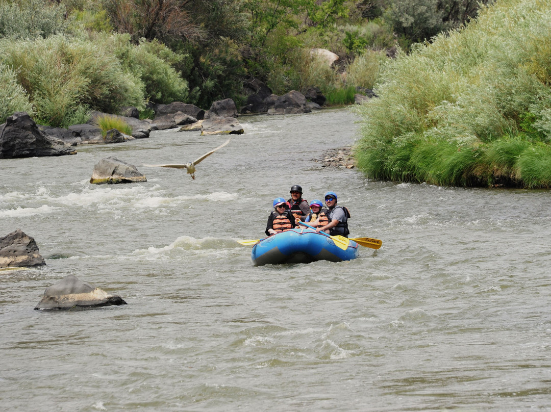 New Wave Rafting-Embudo必去景点
