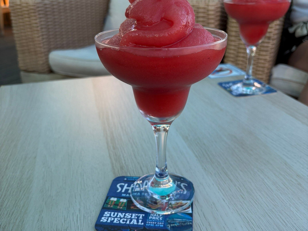 Sharky's Bar-阿尔布赞拉必去景点