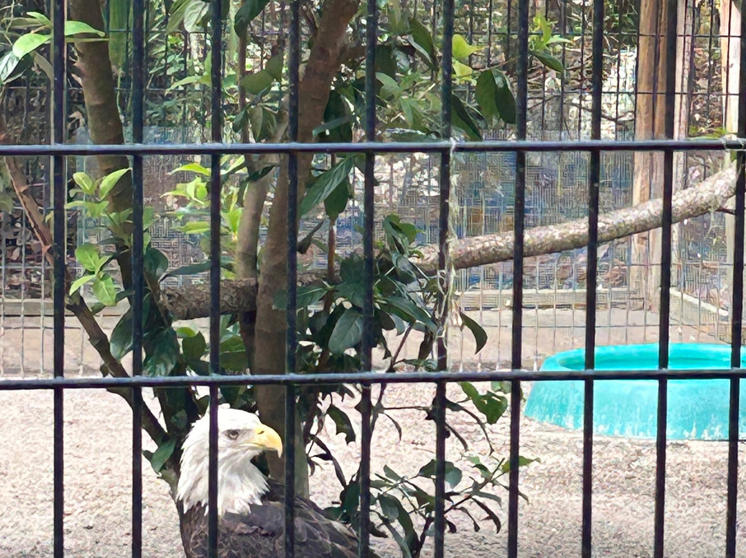 Oatland Island Wildlife Center-萨凡纳必去景点