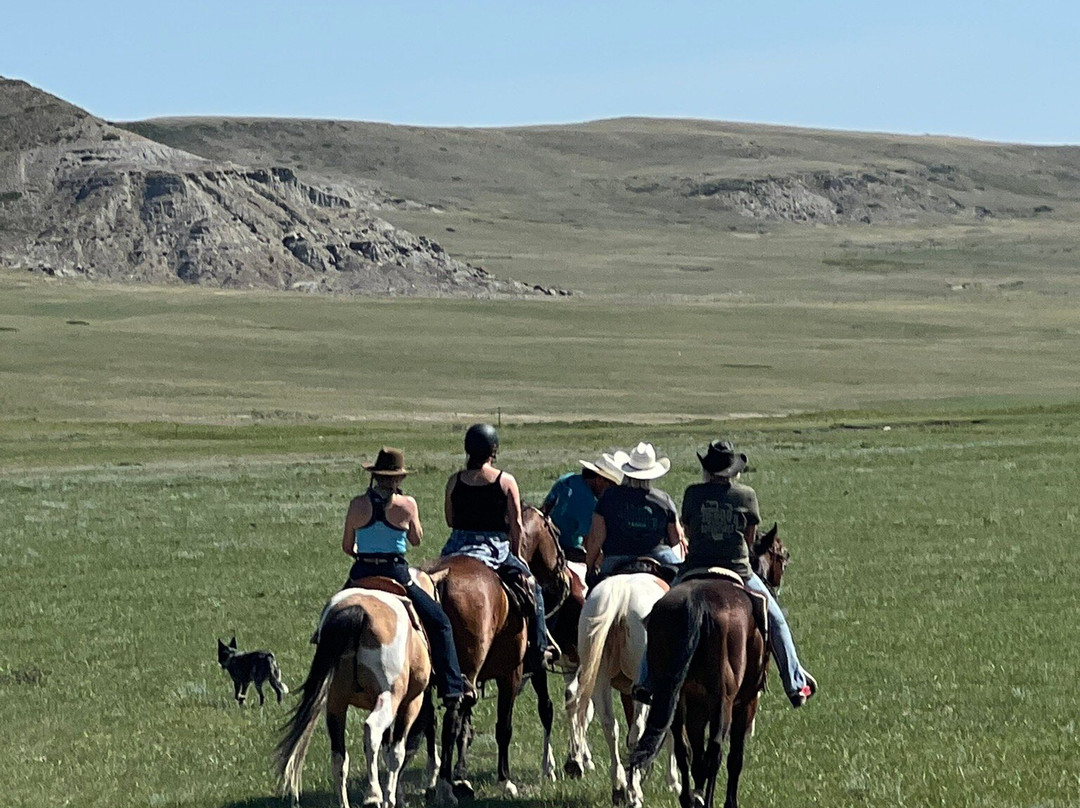 DeBoo Ranch Adventures-Valier必去景点