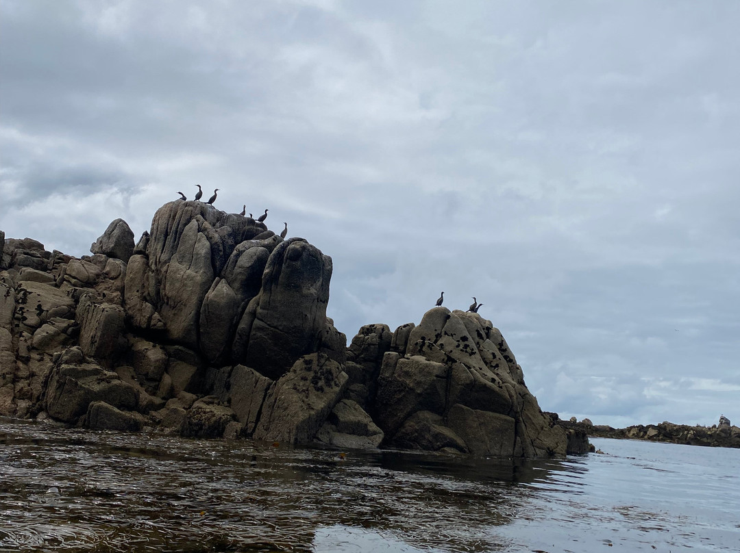 St Agnes Watersports-St Agnes必去景点