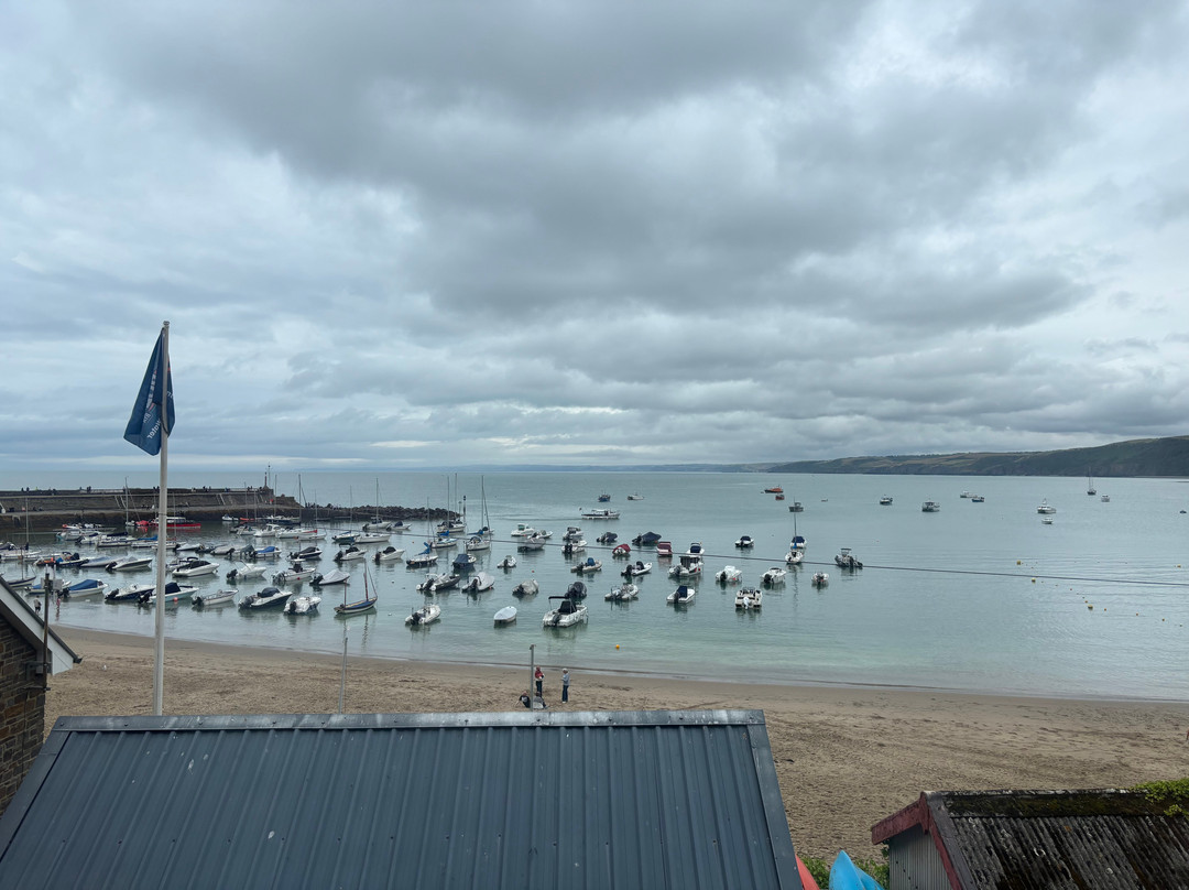Cardigan Bay Marine Wildlife Centre-纽基必去景点