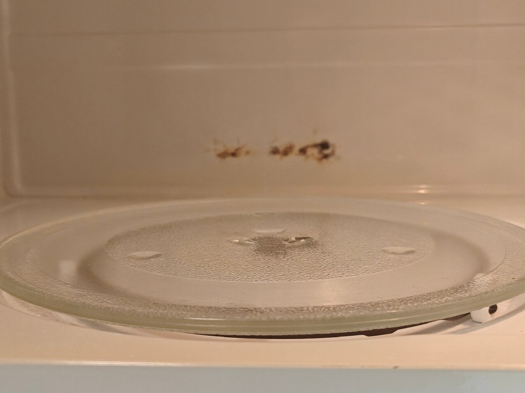 Staybridge Suites Charlottesville Airport by IHG主图