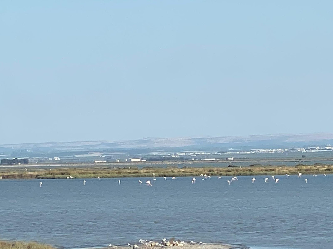 Riserva Naturale di Stato Saline di Margherita di Savoia-Margherita di Savoia必去景点