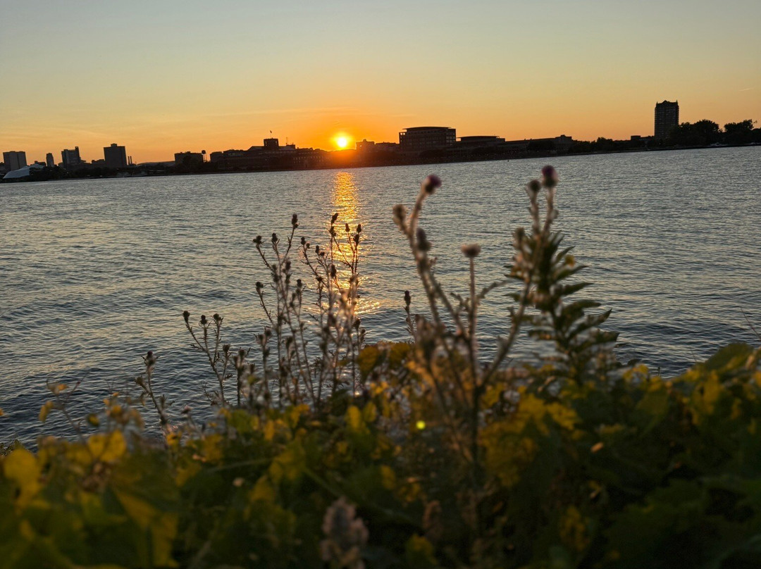Belle Isle Park-底特律必去景点