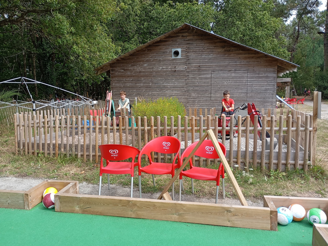 Monkey Forest-Saint-Molf必去景点