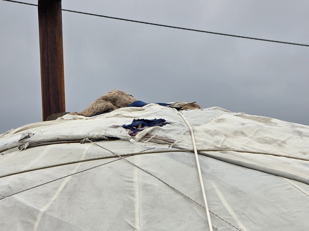 Horseback Mongolia-乌兰巴托必去景点