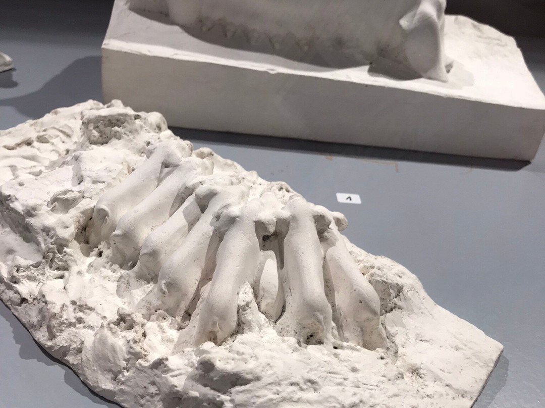 Musée Pompon-索留必去景点