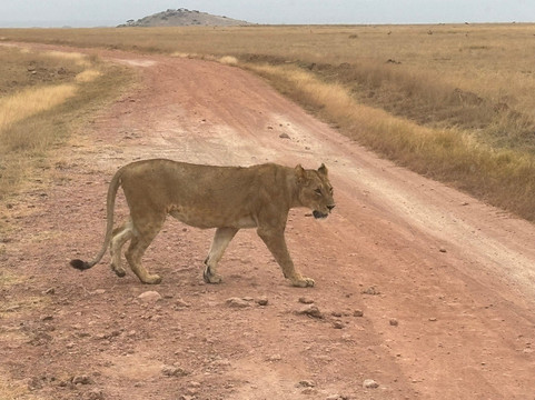 Netherken Safaris & Tours-蒙巴萨必去景点
