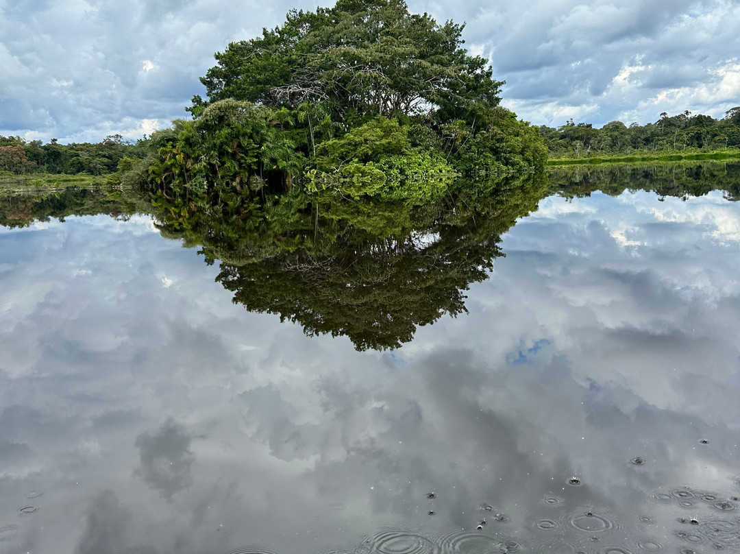 Parque Nacional Yasuni-Coca必去景点