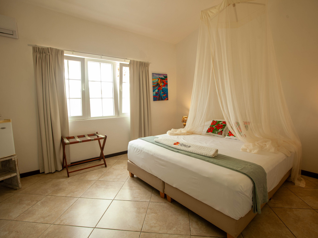 Hibiscus Beach House bed & breakfast主图